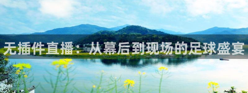 无插件直播：从幕后到现场的足球盛宴