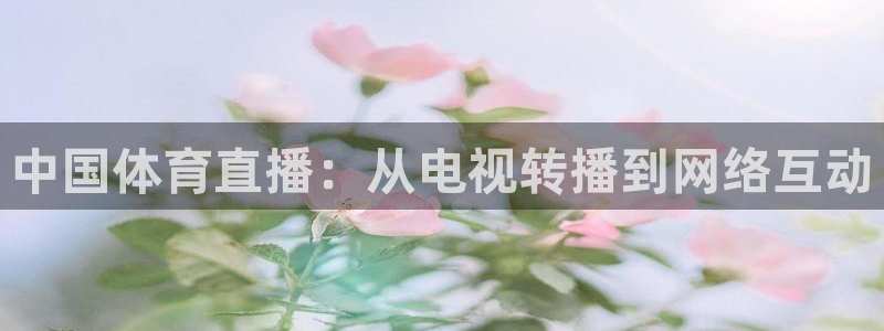 中国体育直播：从电视转播到网络互动