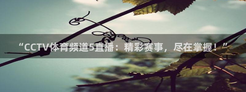 “CCTV体育频道5直播：精彩赛事，尽在掌握！”