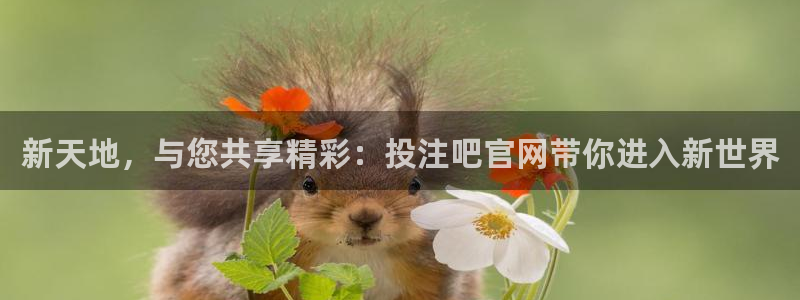 新天地，与您共享精彩：投注吧官网带你进入新世界