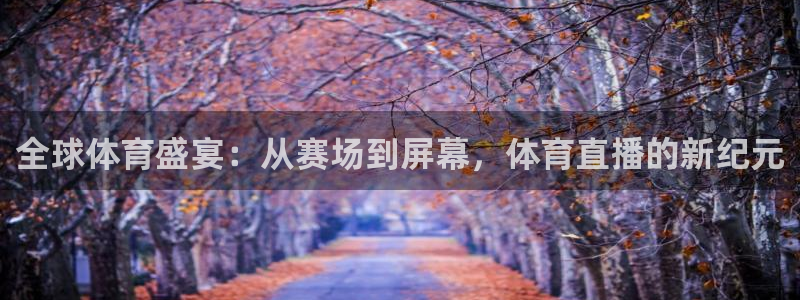 全球体育盛宴：从赛场到屏幕，体育直播的新纪元