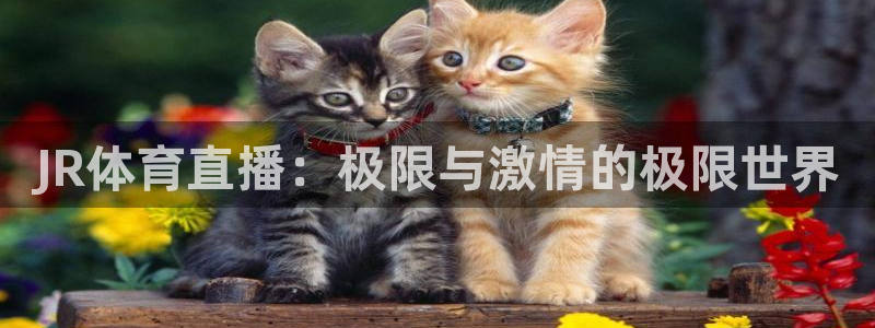 JR体育直播：极限与激情的极限世界