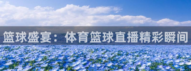 篮球盛宴：体育篮球直播精彩瞬间