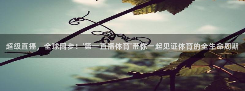 超级直播，全球同步！\'第一直播体育\'带你一起见证体育的全生命周期
