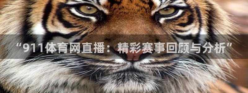 “911体育网直播：精彩赛事回顾与分析”
