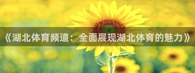 《湖北体育频道：全面展现湖北体育的魅力》
