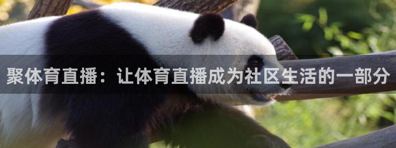 聚体育直播：让体育直播成为社区生活的一部分