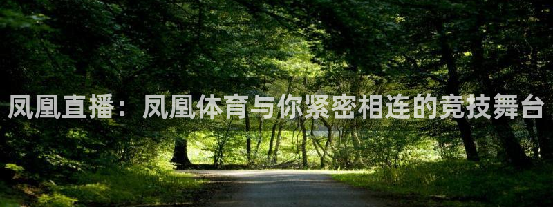 凤凰直播：凤凰体育与你紧密相连的竞技舞台