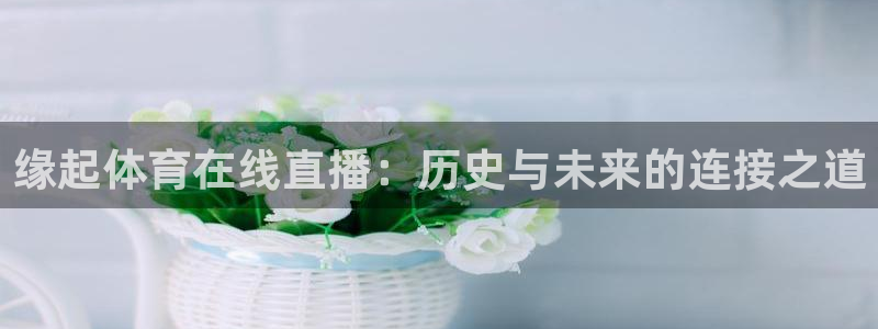 缘起体育在线直播：历史与未来的连接之道