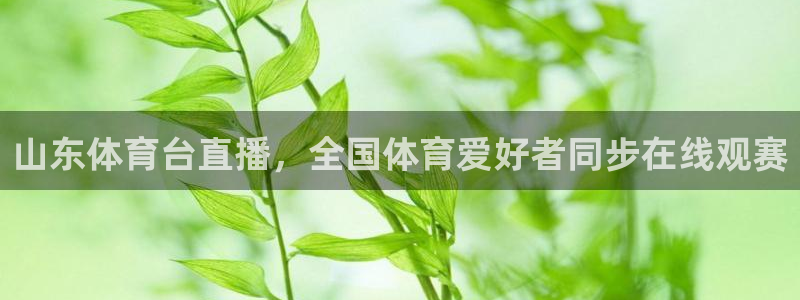 山东体育台直播，全国体育爱好者同步在线观赛