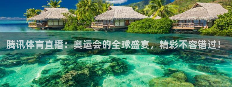 腾讯体育直播：奥运会的全球盛宴，精彩不容错过！