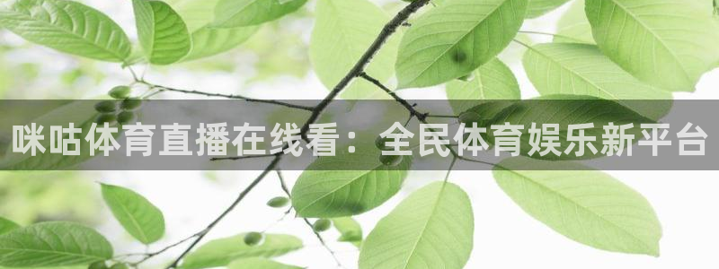 咪咕体育直播在线看：全民体育娱乐新平台