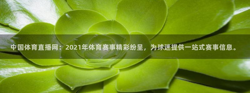 中国体育直播网：2021年体育赛事精彩纷呈，为球迷提供一站式赛事信息。