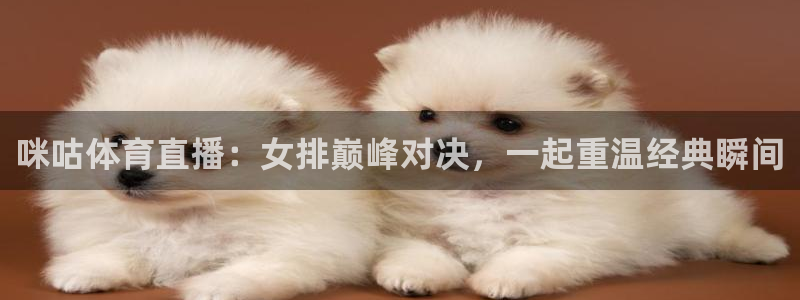 咪咕体育直播：女排巅峰对决，一起重温经典瞬间