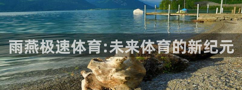 雨燕极速体育:未来体育的新纪元