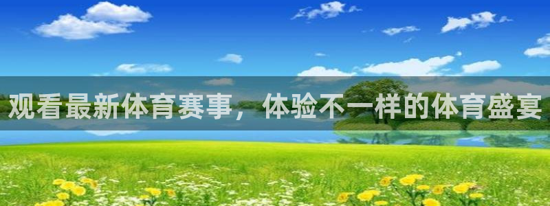 观看最新体育赛事，体验不一样的体育盛宴