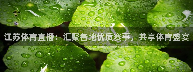 江苏体育直播：汇聚各地优质赛事，共享体育盛宴