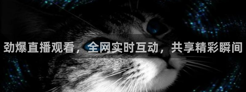 劲爆直播观看，全网实时互动，共享精彩瞬间