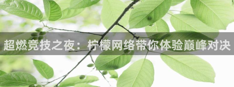 超燃竞技之夜：柠檬网络带你体验巅峰对决