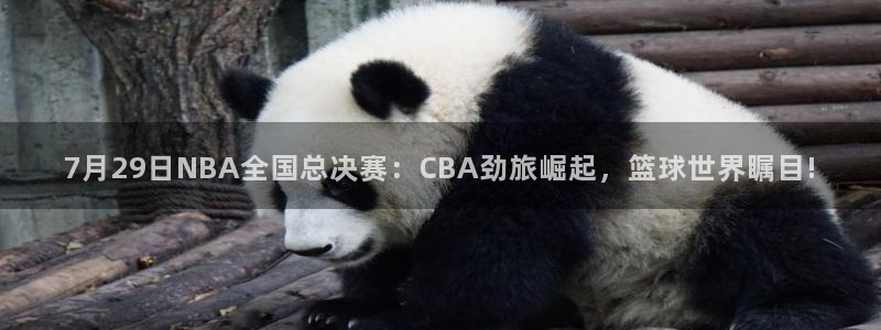 7月29日NBA全国总决赛：CBA劲旅崛起，篮球世界瞩目!