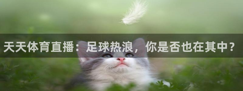 天天体育直播：足球热浪，你是否也在其中？
