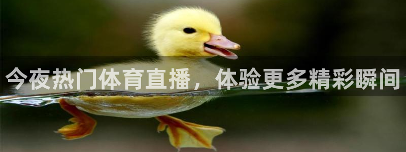 今夜热门体育直播，体验更多精彩瞬间