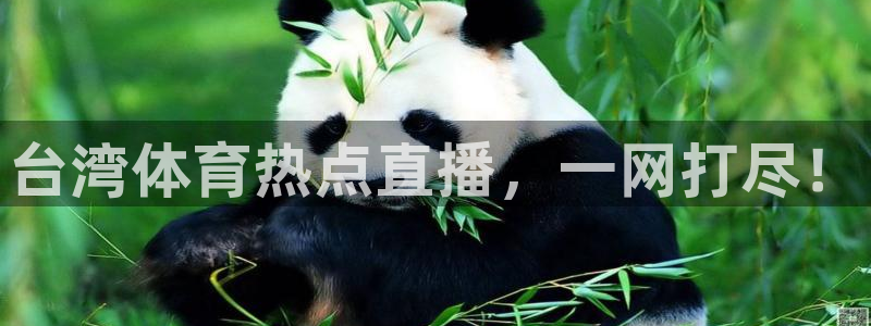 台湾体育热点直播，一网打尽！