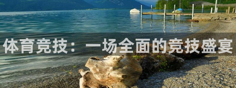 体育竞技：一场全面的竞技盛宴