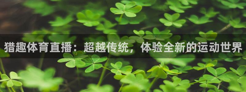 猎趣体育直播：超越传统，体验全新的运动世界