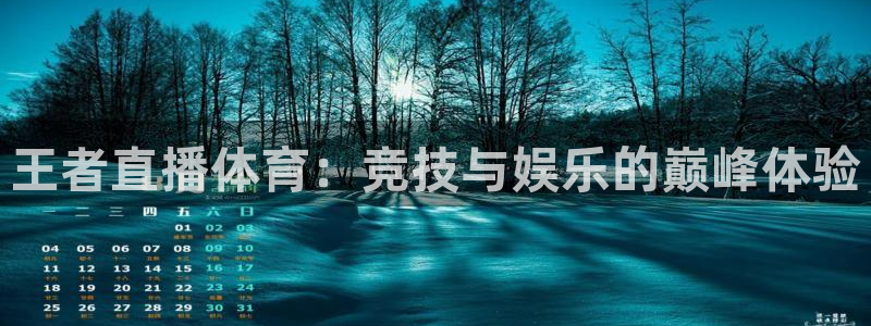 王者直播体育：竞技与娱乐的巅峰体验